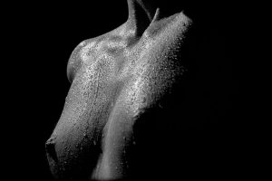 Pijana kobieta zmuszona